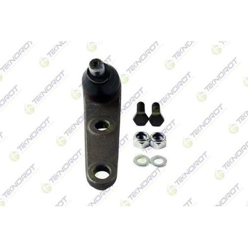 Pivot brat suspensie Ford Fiesta Box / Lifback (Fvd), Fiesta 2 (Fbd), 1.0, 1.0 (FBD), 1.1 (FBD), 1.3 (FBD), 1.4, 1.4 (FBD), 1.6 D (FBD), 1.6 XR2 (FBD), Punte Fata, Stanga=Dreapta, TEKNOROT