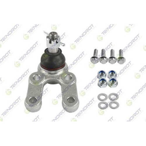 Pivot brat suspensie Daewoo Korando (Kj), Korando Cabrio (Kj), Musso (Fj); Ssangyong Korando (Ck), Korando (Kj), Korando Cabrio (Kj), Musso (Fj), Musso (Qk), Punte Fata, Stanga=Dreapta, inferior; TEKNOROT