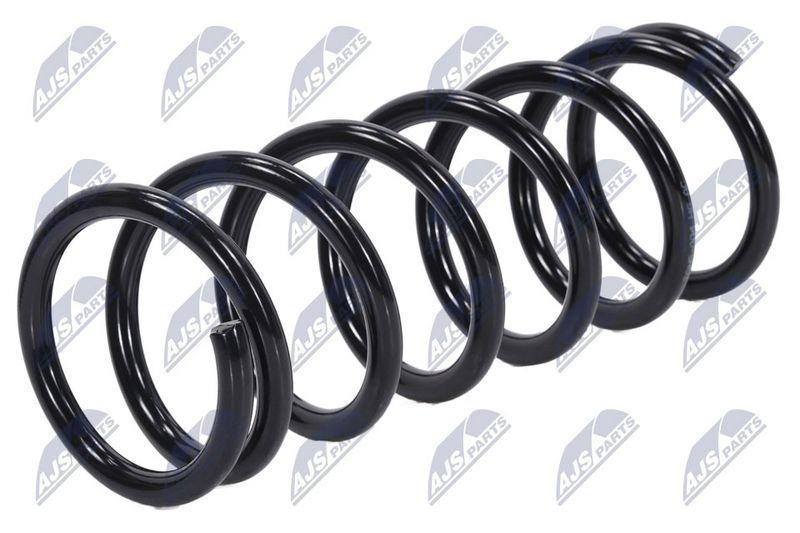 Arc suspensie Nissan Pathfinder 2005-; partea din spate; 55020EB30A; NTY, aftermarket