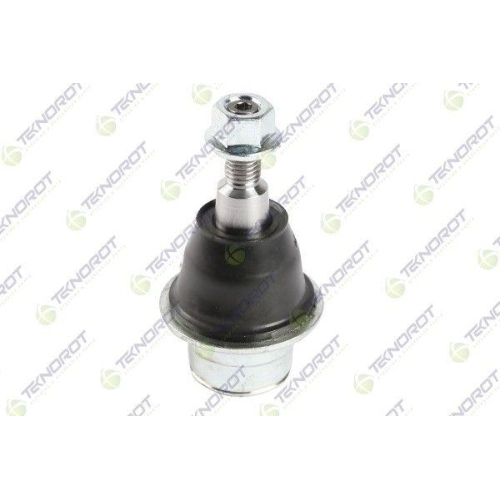Pivot brat suspensie Ford F-150 Crew Cab Pickup, F-150 Standard Cab Pickup, F-150, 3.5 4WD, 5.0, 6.2, 6.2 4WD, 3.5 4x4, 4.6, 5.4, 6.2 4x4, Triton R4, Punte Fata, Stanga=Dreapta, inferior; TEKNOROT