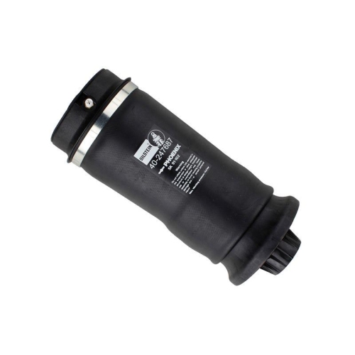 BILSTEIN Arc pneumatic, directie BILSTEIN - B3 OE Replacement (Air)