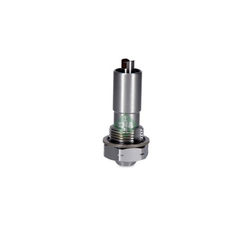 Schaeffler INA intinzator,lant distributie
