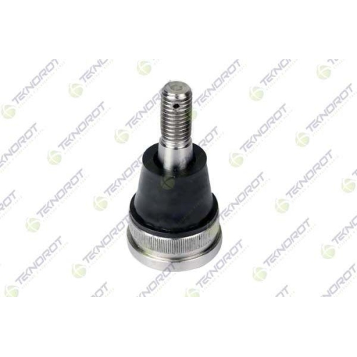 Pivot brat suspensie Ford Ranger (Tke), 2.0 EcoBlue 4x4, 2.2 TDCI, 2.2 TDCi 4x4, 3.2 TDCi 4x4, Punte Fata, Stanga=Dreapta, TEKNOROT