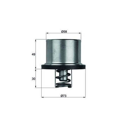 MAHLE termostat,lichid racire BEHR