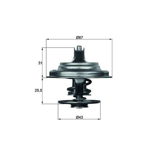 MAHLE termostat,lichid racire BEHR