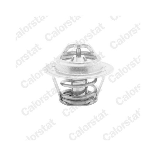 CALORSTAT by Vernet termostat,lichid racire