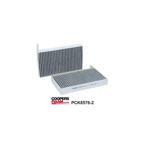 Filtru polen cu carbon aciv Tesla Model 3 (5yj3), , CoopersFiaam