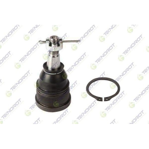 Pivot brat suspensie Honda Odyssey (Rl1, 3.5, Punte Fata, Stanga=Dreapta, inferior; TEKNOROT