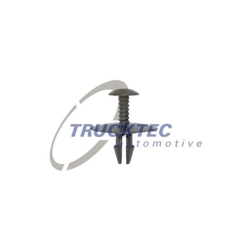 Clema, clips fixare Mercedes C (W203), C Sportcoupe (Cl203), Cl (C215), Clk (C208), Clk (C209), Cls (C219), E (W211), S (W220), Sl (R230), Slk (R170); ornamente exterioare pervaz, fixare inferioara, set 10 buc, A0019900192