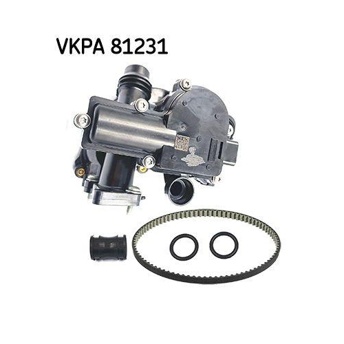 SKF Pompă de apă, răcire motor Aquamax