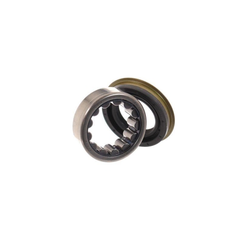 SKF Set rulment roata