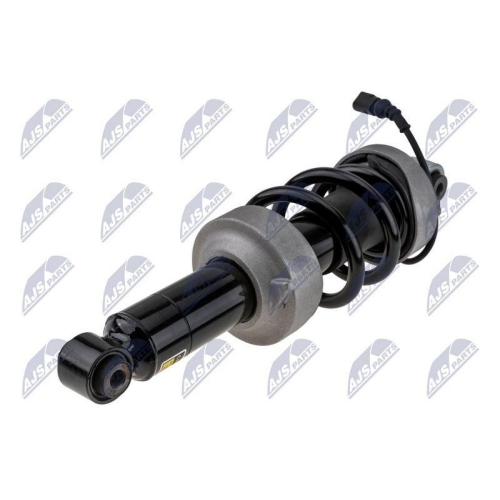 Amortizor fata Audi R8 2007-2015, R8 Spyder 2010-2015, Stanga, +Amr, 420412019AJ Amortizor fata Audi R8 2007-2015, R8 Spyder 2010-2015, Stanga, +Amr, 420412019AJ