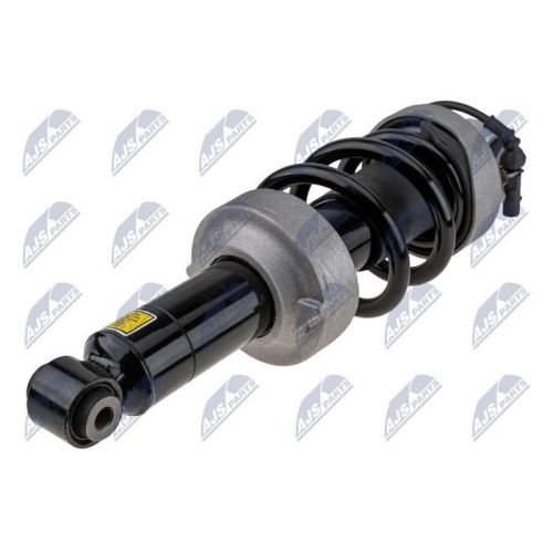 Amortizor fata Audi R8 2007-2015, R8 Spyder 2010-2015, Dreapta, +Amr, 420412020AJ