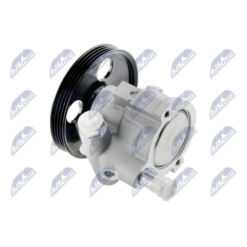 Pompa servodirectie Renault Clio I, 2 1996-, Kangoo 1997-, Megane, 1997-, Scenic 1999-2003, Thalia 1998-, 491100219R