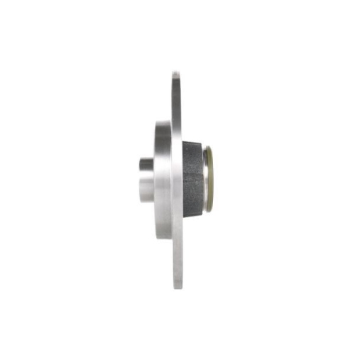 BOSCH Disc frana