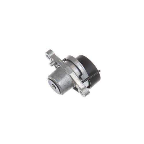 SKF Intinzator curea, curea distributie