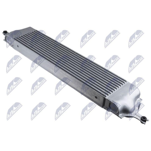 Intercooler Nissan X-Trail 2 (07-13) 2.0 Dci, Koleos, (08-) 2.0 Dci (Diesel), 14461JG70B