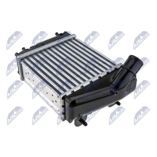 Intercooler Renault Twingo 2 (07-) 1.2 Tce, Wind (10-) 1.2 Tce (Man, Aut, Ac +, Benzina, Diesel), 8200369311