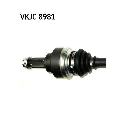 SKF Planetara