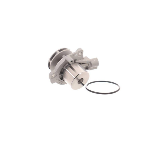 SKF Pompă de apă, răcire motor Aquamax