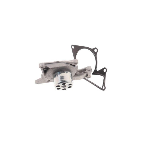 SKF Pompă de apă, răcire motor Aquamax