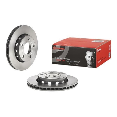 Set disc frana Audi A4 B5 (8d2) 11.94-12.01; Vw Passat B5.5 (3b3) 10.00-12.05, Spate, 256X22mm, ventilat, BREMBO