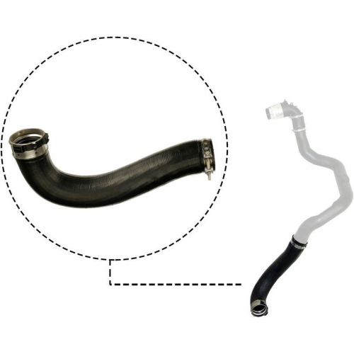 GATES Furtun ear supraalimentare
