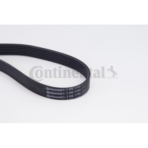 CONTINENTAL CTAM Set curea transmisie cu caneluri