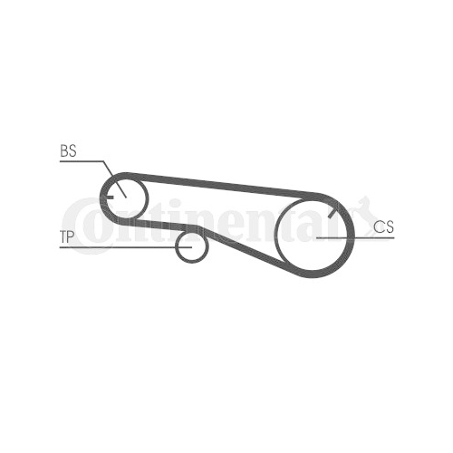 CONTINENTAL CTAM Curea de distributie