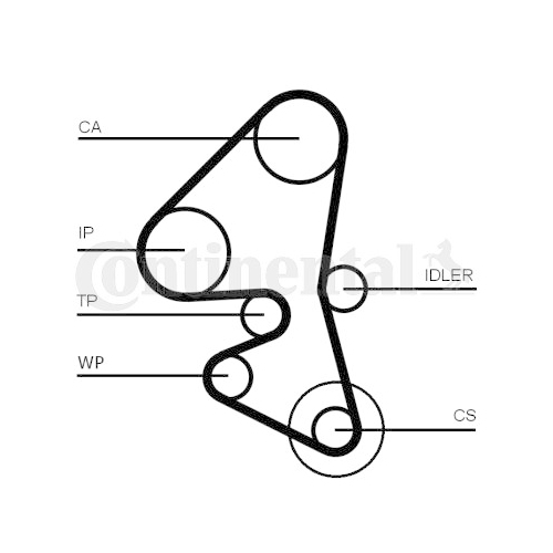 CONTINENTAL CTAM Curea de distributie