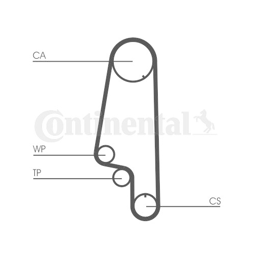 CONTINENTAL CTAM Set pompa apa + curea dintata