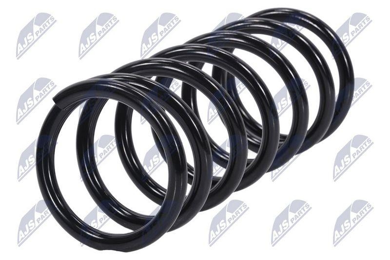 Arc suspensie Nissan Pathfinder 2005-; partea din spate; 55020EB30A; NTY, aftermarket