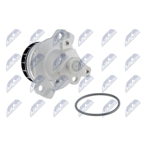Pompa apa Nissan X-Trail 2.0d 2007-, Qashqai 2.0d 2007-, Renault Laguna 2.0d 2005-, Master 2010-, Megane 2.0d 2009-, Opel Movano B 2010-, 21010-00Q0C