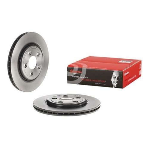 Set disc frana Jaguar S-Type 2 (X200) 10.98-12.08, Xj (X350 X358) 03.03-03.09, Spate, 288X20mm, ventilat, BREMBO
