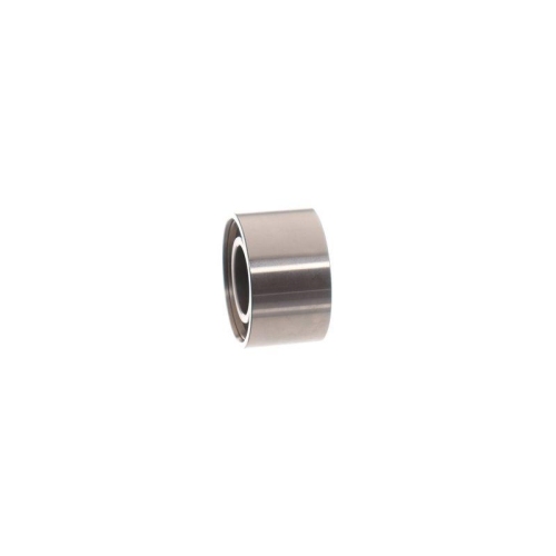 SKF Rola ghidare/conducere, curea distributie