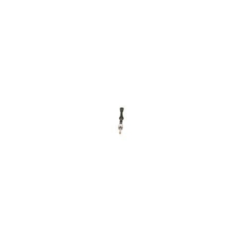 BOSCH Injector