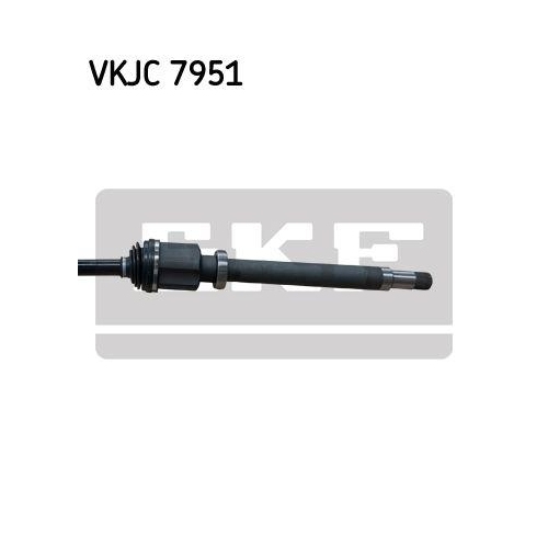SKF Planetara