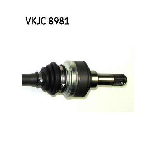 SKF Planetara