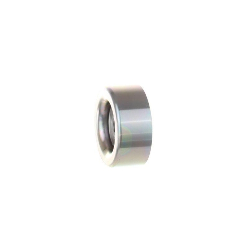 SKF Rola ghidare/conducere, curea transmisie