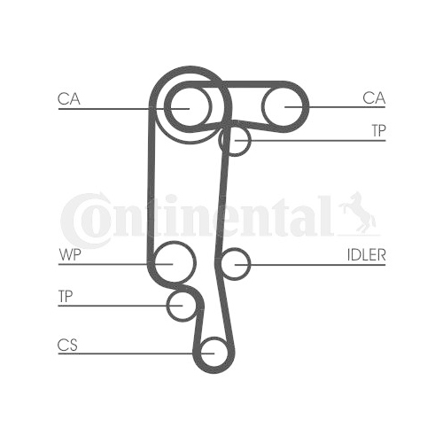 CONTINENTAL CTAM Curea de distributie