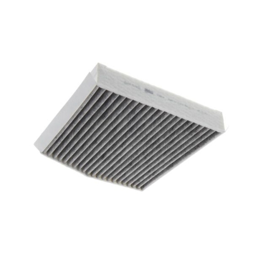 VALEO Filtru, aer habitaclu VALEO PROTECT