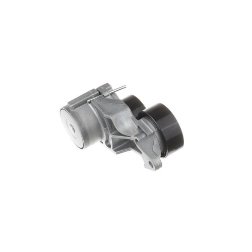 SKF Intinzator curea, curea distributie