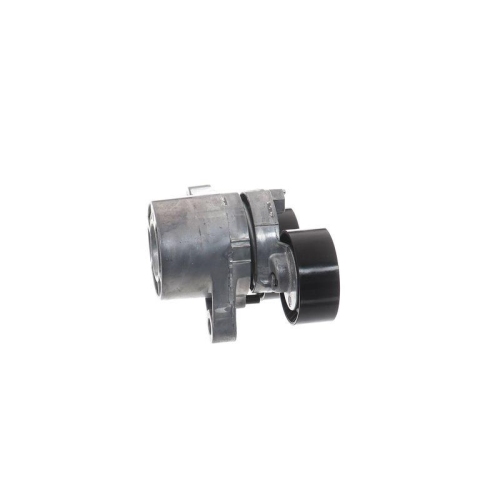 SKF Intinzator curea, curea distributie