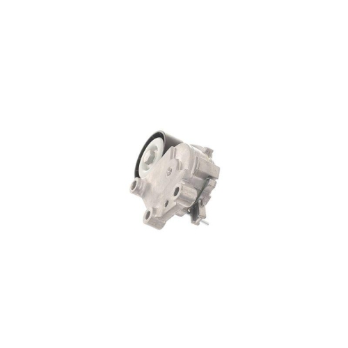SKF Intinzator curea, curea distributie
