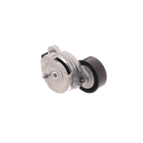SKF Intinzator curea, curea distributie