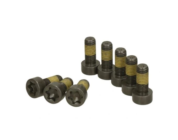 Set surub volanta Luk 411012010