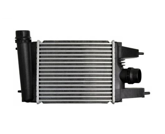 Intercooler Nissan Juke (F15), 10.2014-, Pulsar, 05.2014-, motor 1.2 DIG-T 85kw, benzina, cu/fara AC, aluminiu brazat/plastic, 257x215x62 mm,